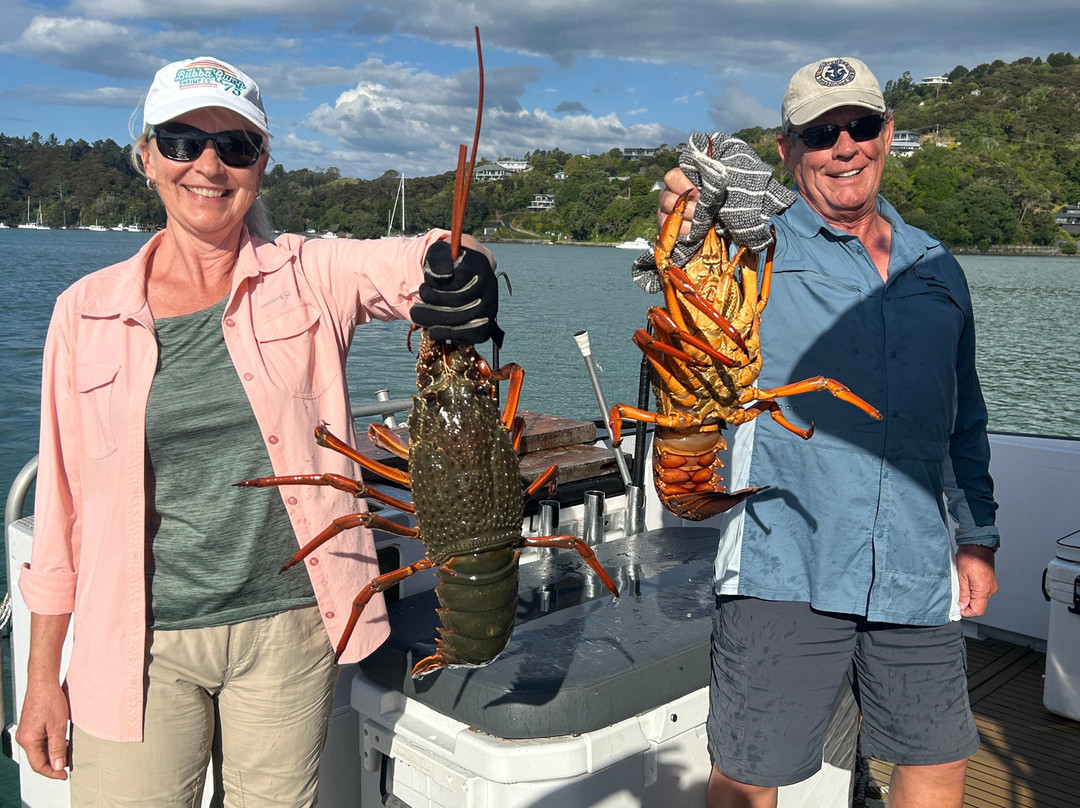 Whangaroa Harbour-Whangaroa必去景点