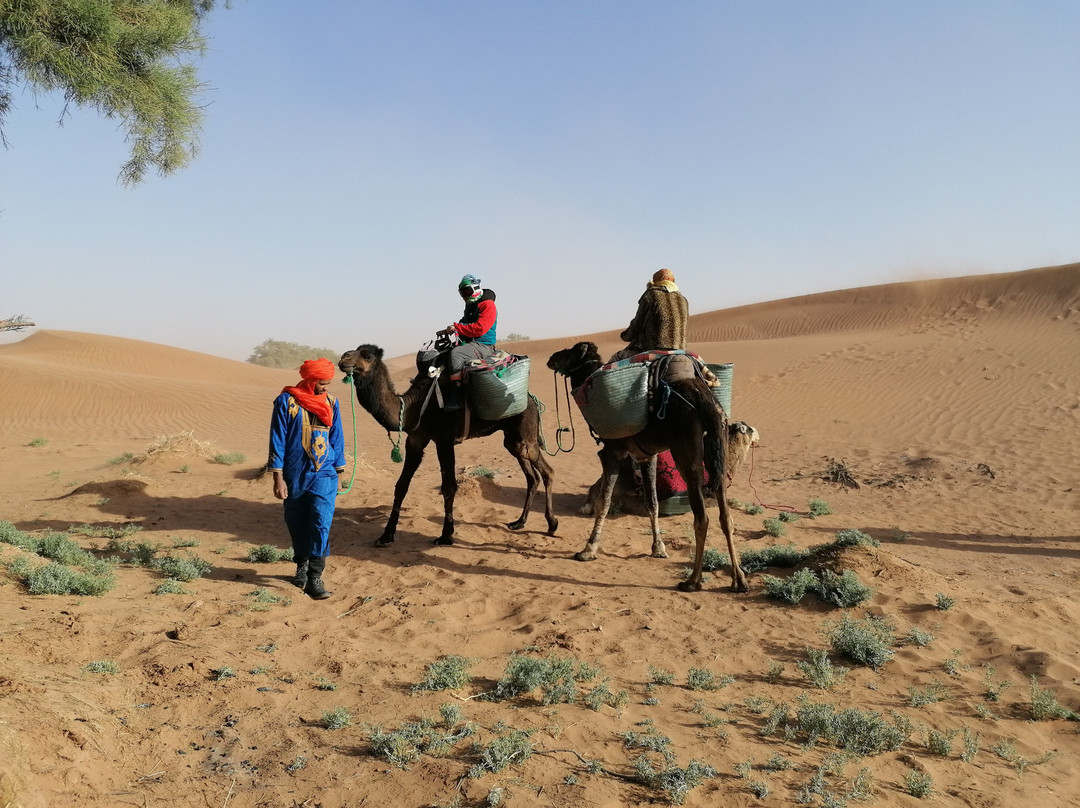 Camp Sahara at Dar Al Fananna-迈哈米德必去景点