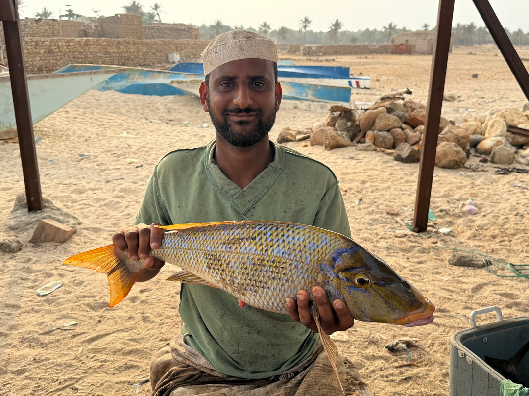 Socotra Safari Tours景点图片