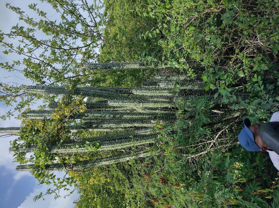 Mount Christoffel-Christoffel National Park必去景点