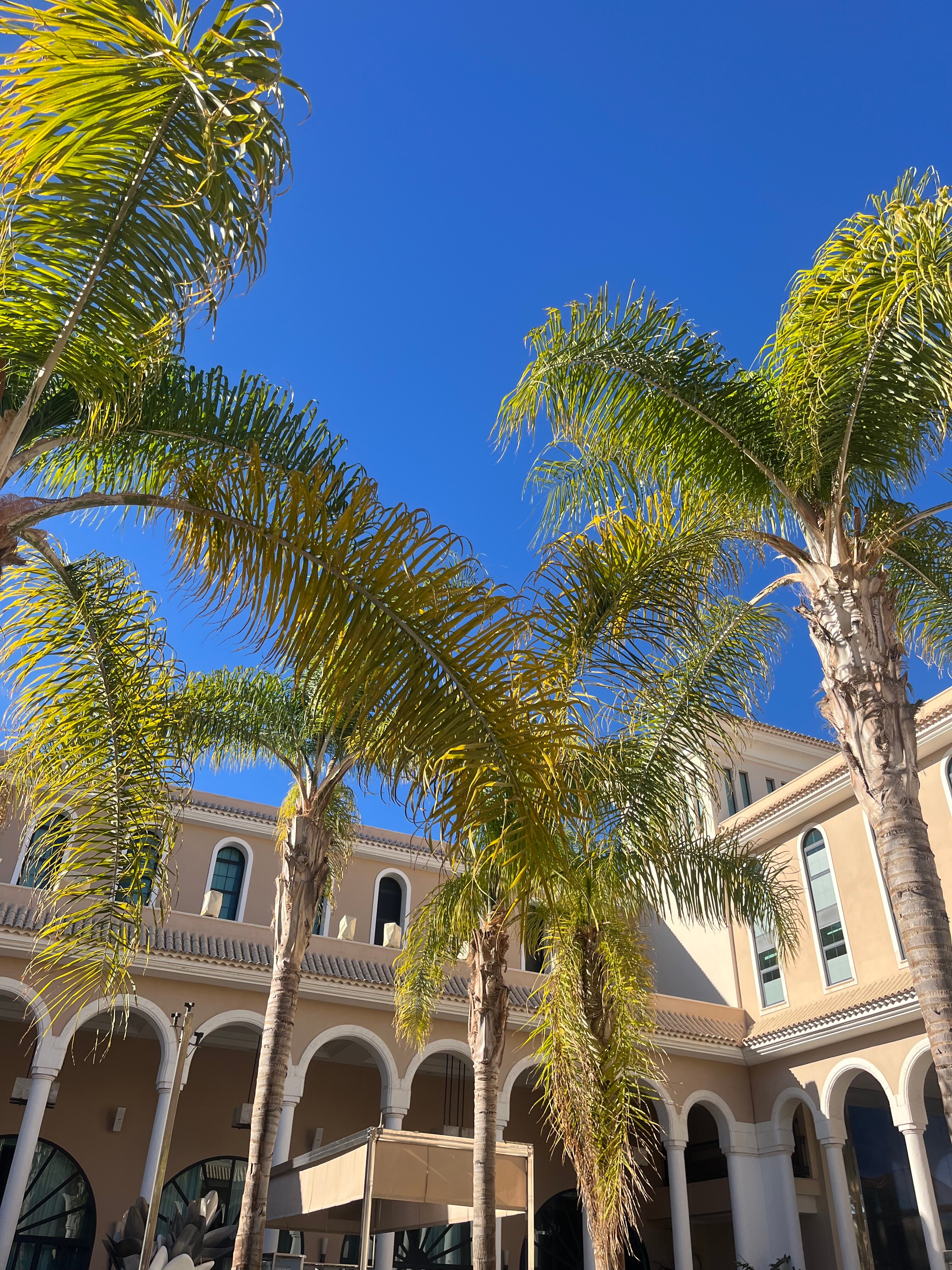 Gran Melia Palacio de Isora-浴室