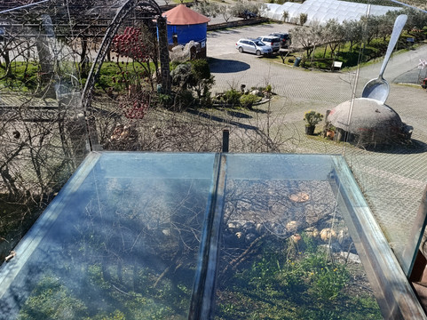 Vacances en Albanie-地拉那必去景点