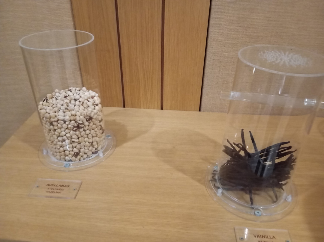 Valor Chocolate Museum景点图片