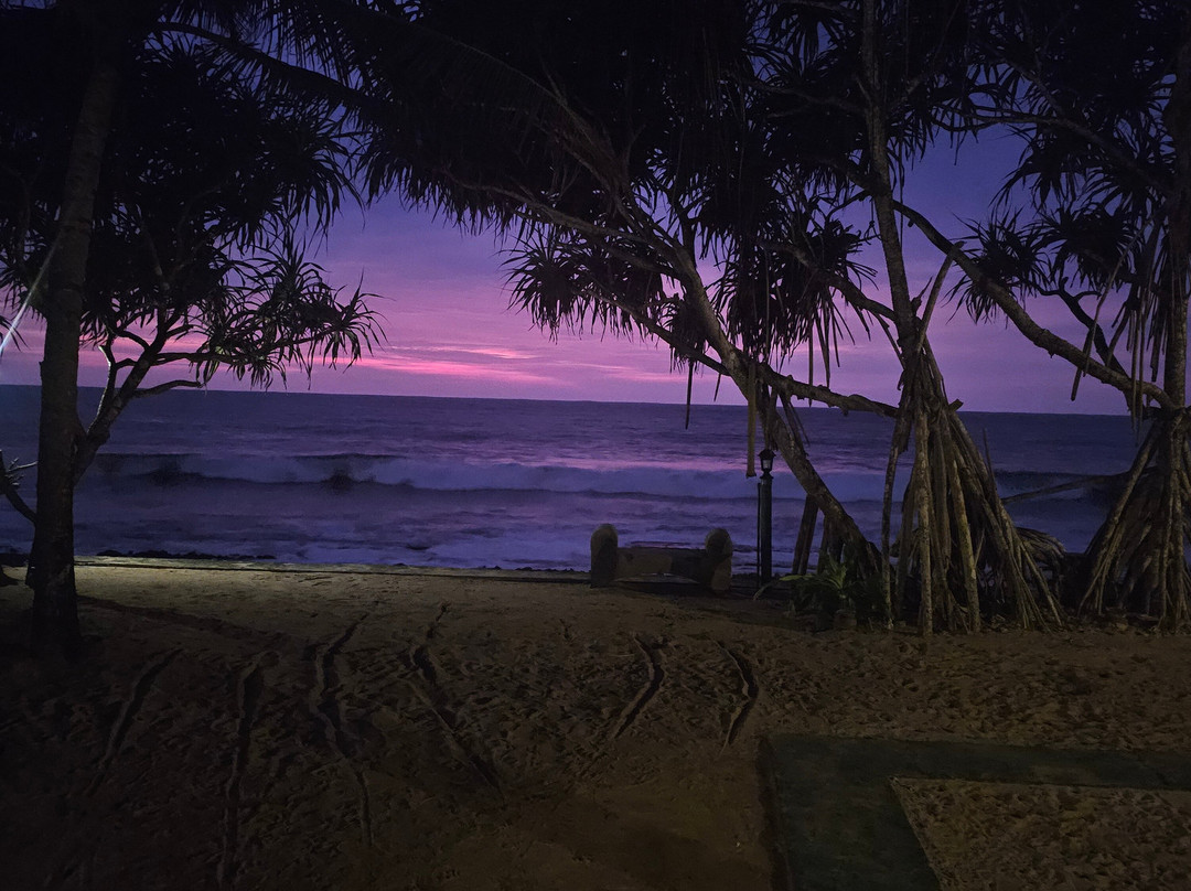 The Garden Beach Ayurveda Resort主图