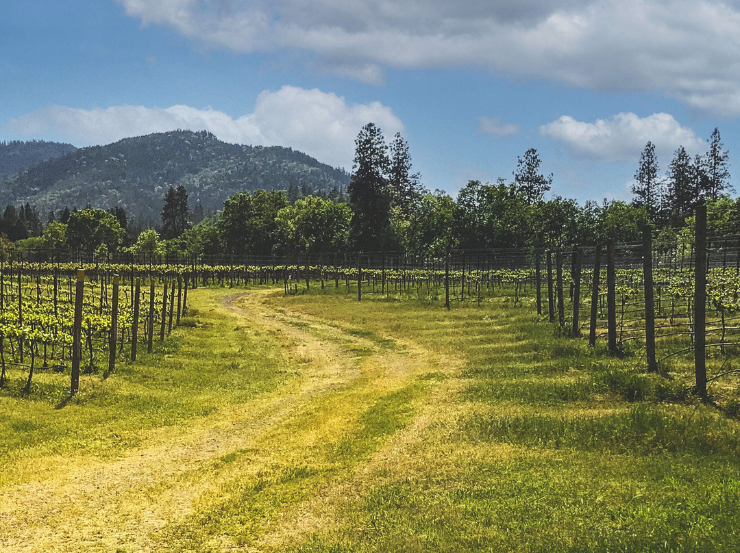 Stoneriver Vineyards-Talent必去景点