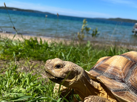 COGNiTiON-Beulah必去景点