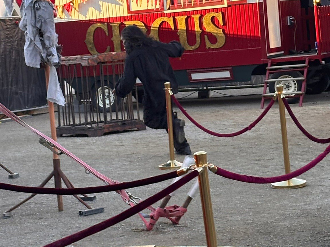 Dystopia Entertainment-瓦埃勒必去景点