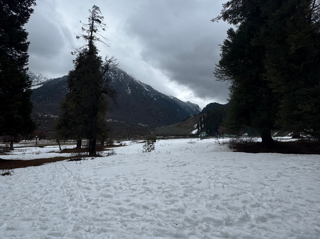 Kashmir Travels-斯利那加必去景点