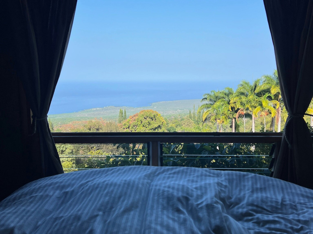 阿洛哈宾馆主图