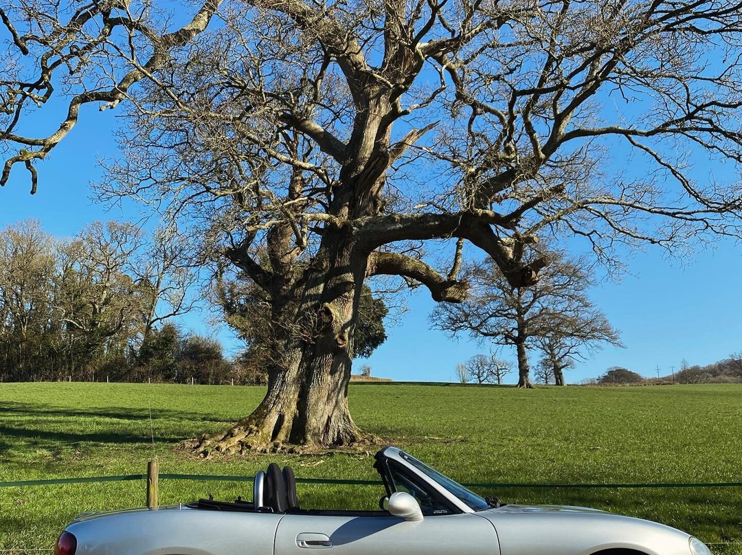 Drive Devon-Ottery St. Mary必去景点