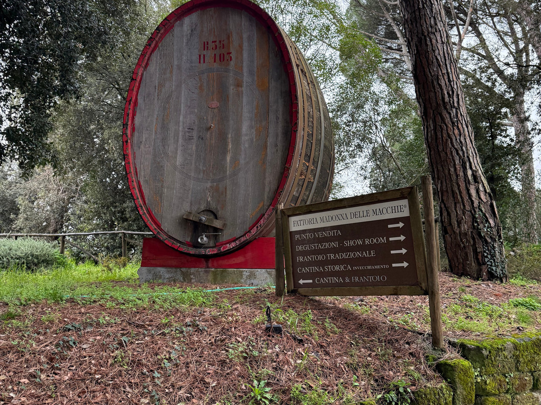 Teseotur-奥尔维耶托必去景点