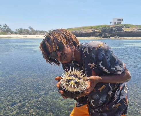 Tour In Kenya-瓦塔木必去景点