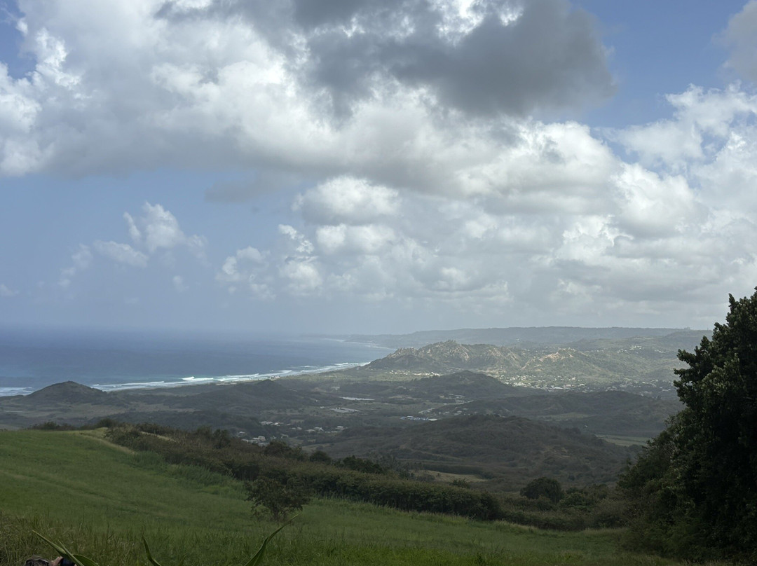 Ted's Tours-Hastings必去景点
