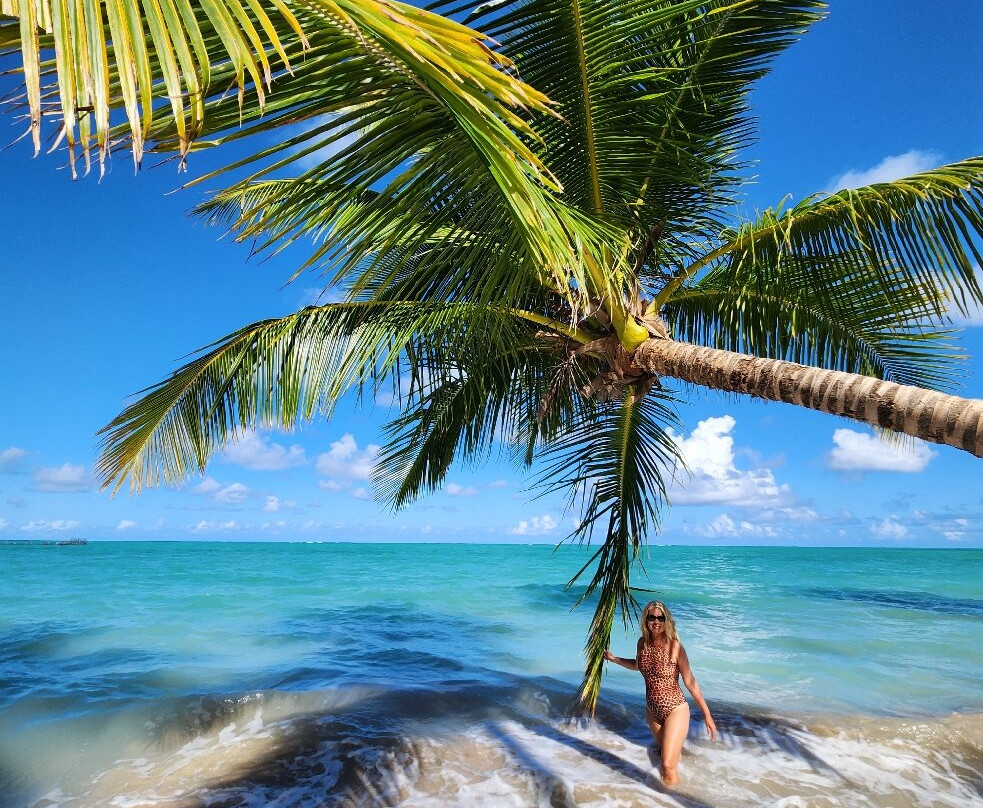 Praia Ponta de Mangue-Maragogi必去景点