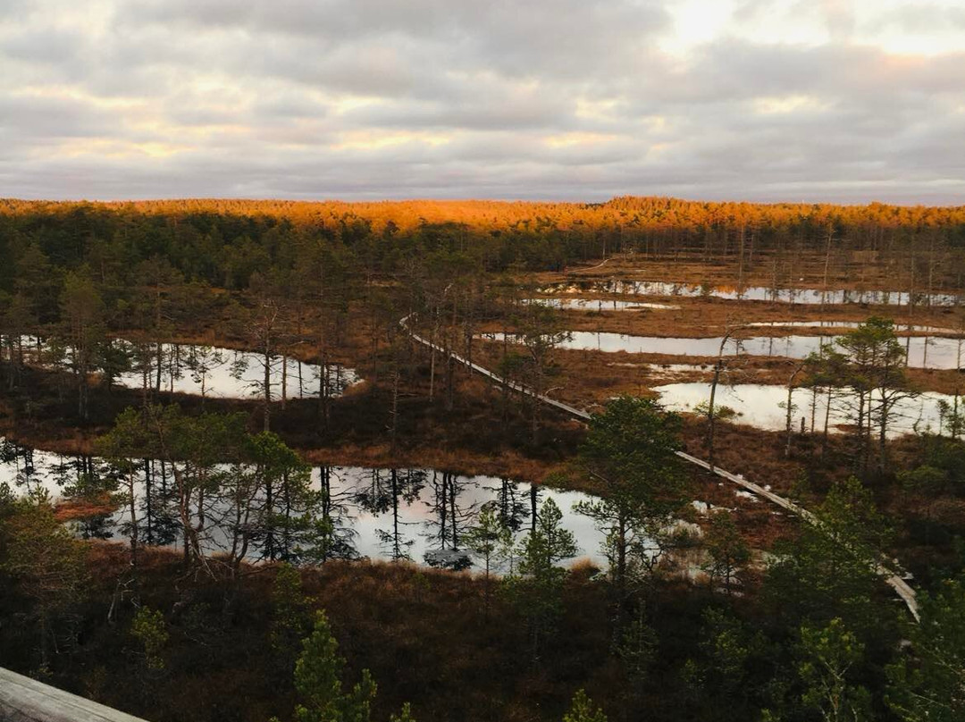 Solidride Oü-Joelaehtme必去景点