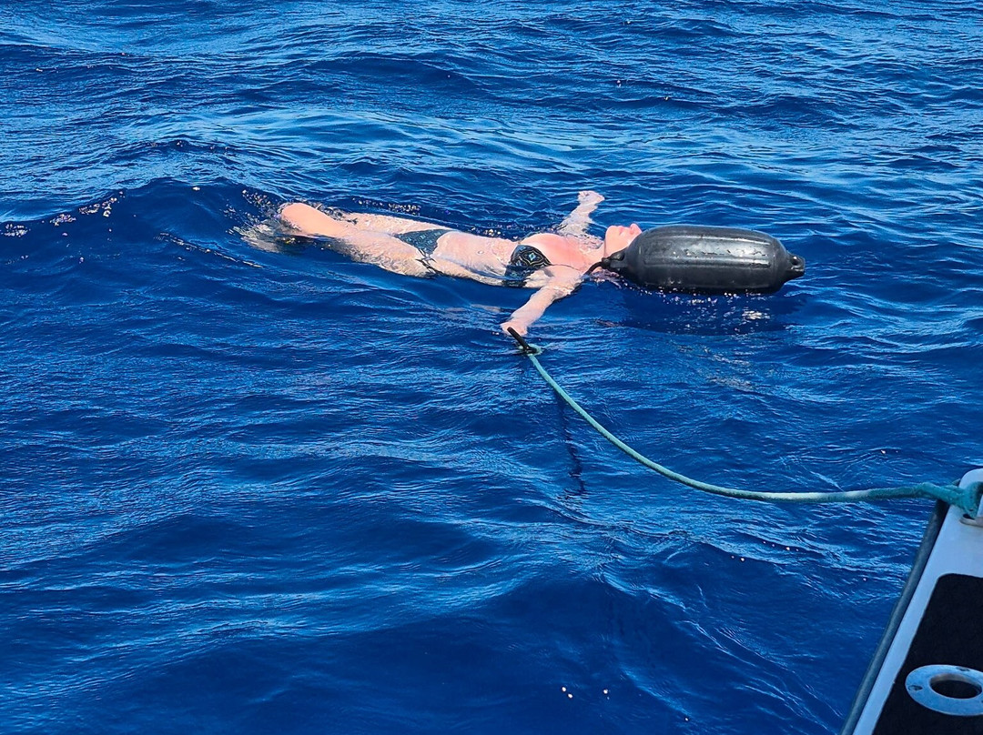 Da Whale Boat: Big Island Humpback Adventures-卡威哈也必去景点