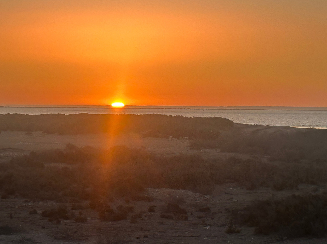 San Ignacio Lagoon-下加利福尼亚州必去景点
