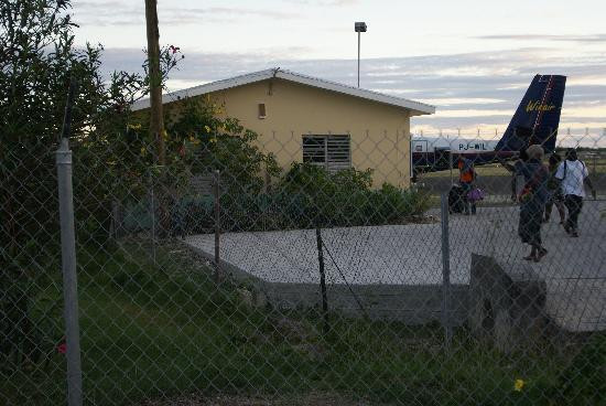 Palm Tree Guest House主图