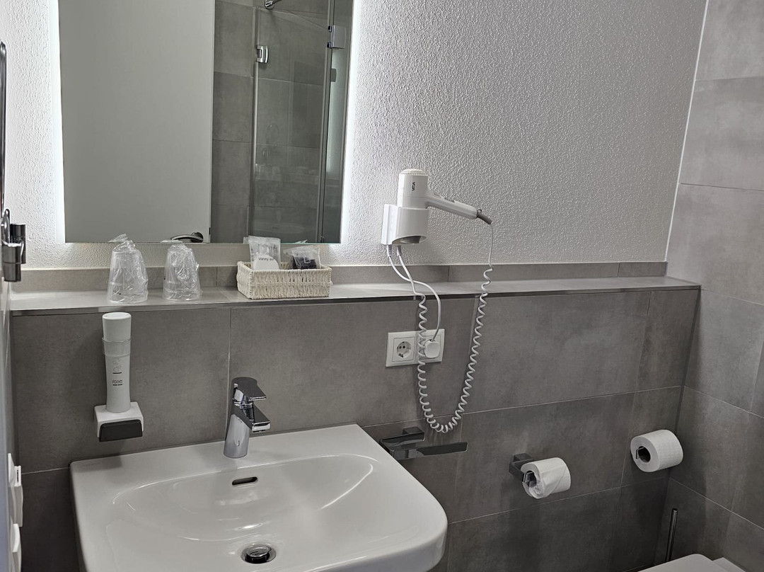 Pension Scharl主图