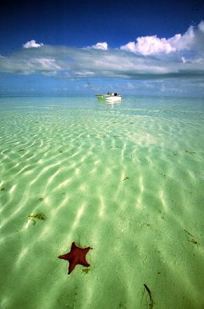 Rickmon Bonefish Lodge主图