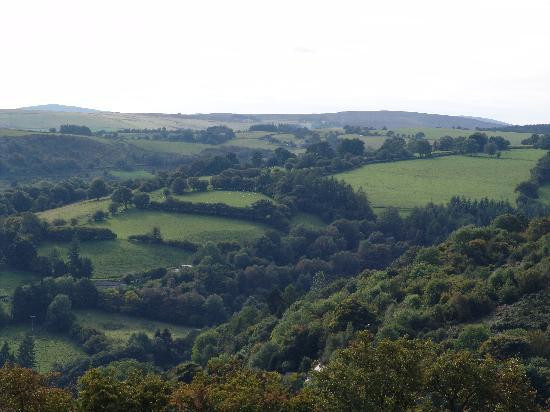 The Mansion House主图