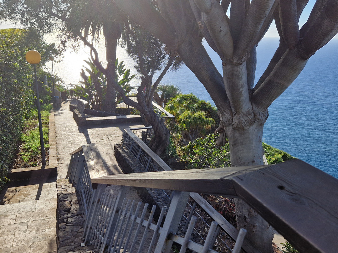 Mirador De La Garañona-El Sauzal必去景点