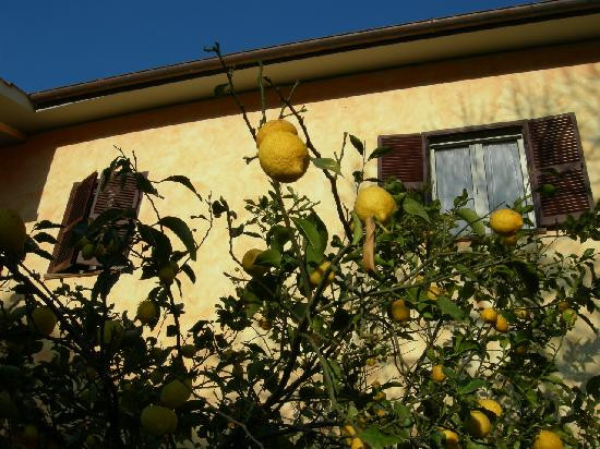 Casale Carraccia主图