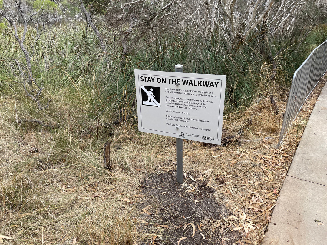 Lake Clifton-Yalgorup National Park必去景点