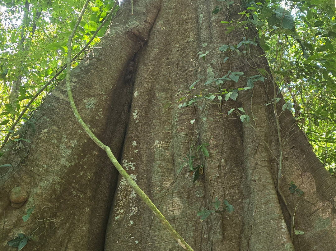 Carara National Park景点图片