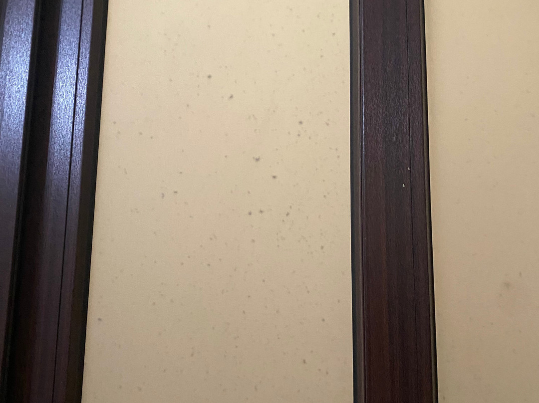 莫拉莱斯历史及殖民地市中心酒店主图