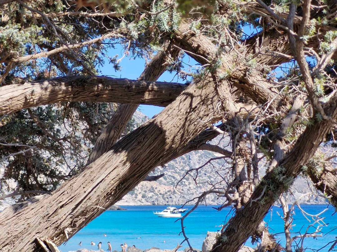 Kedrodasos Beach景点图片