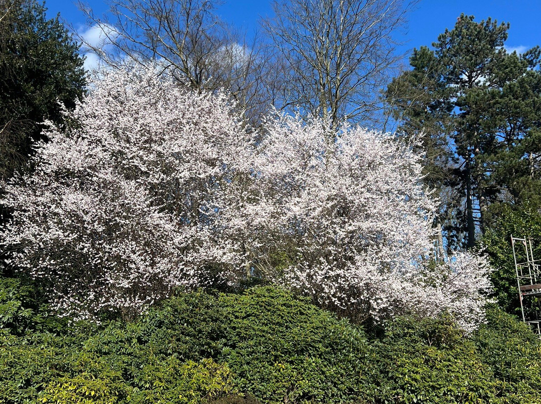 Tierpark Hagenbeck景点图片