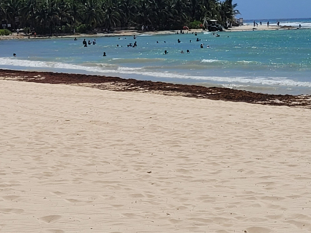 Playa Punta Esmeralda景点图片