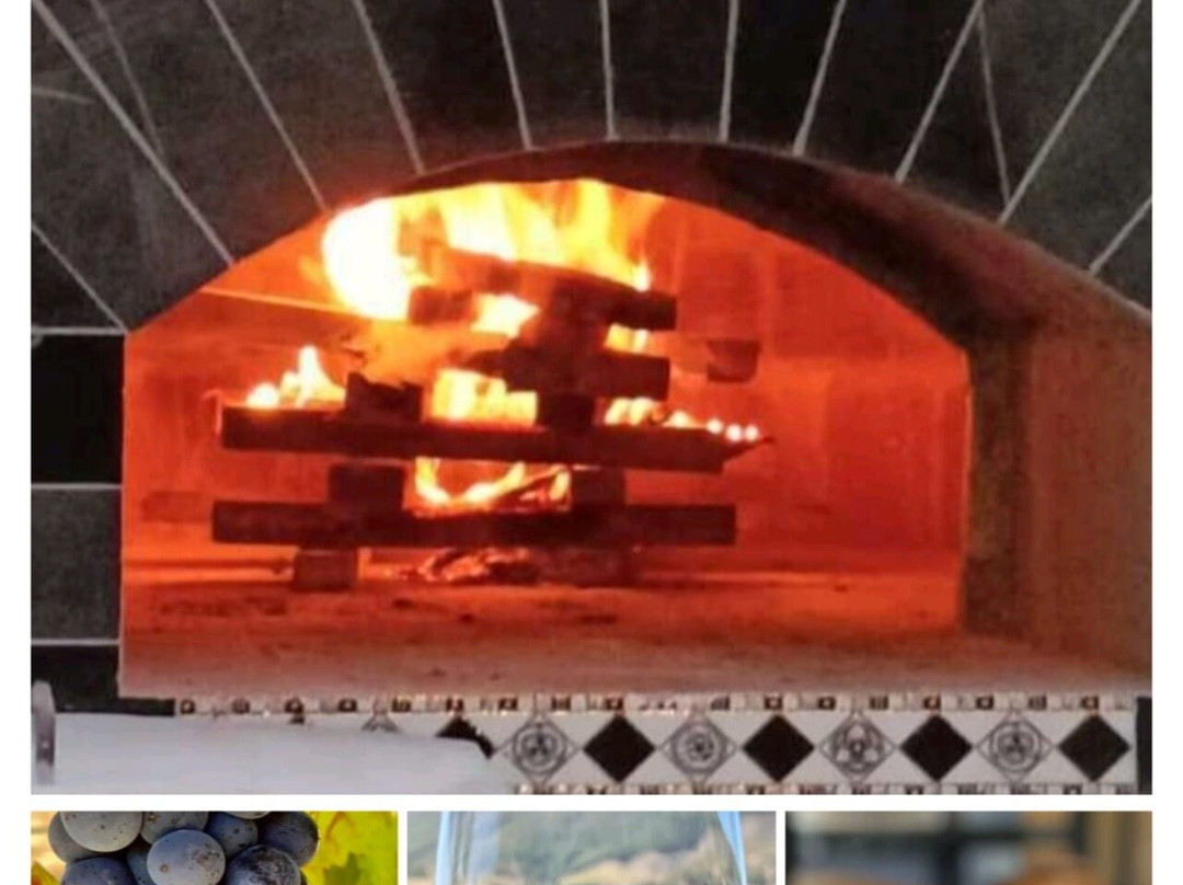 Gallerycookery Mermaid景点图片