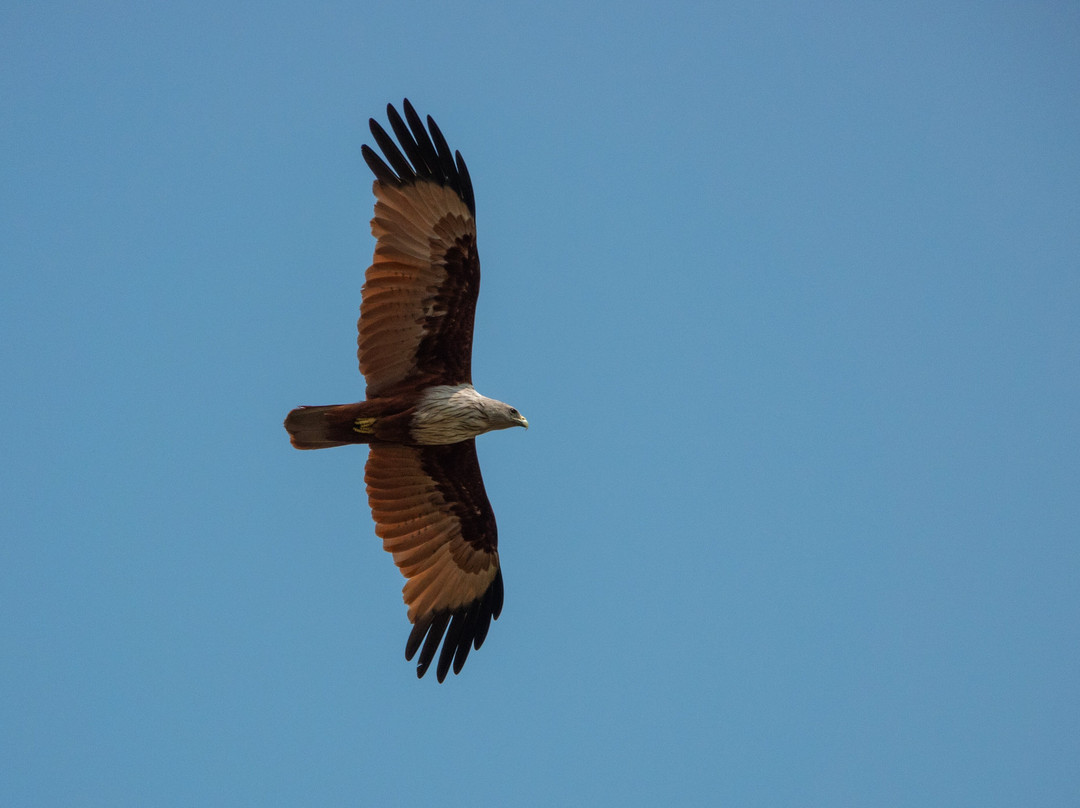 Prek Toal Tours & Travel-暹粒必去景点