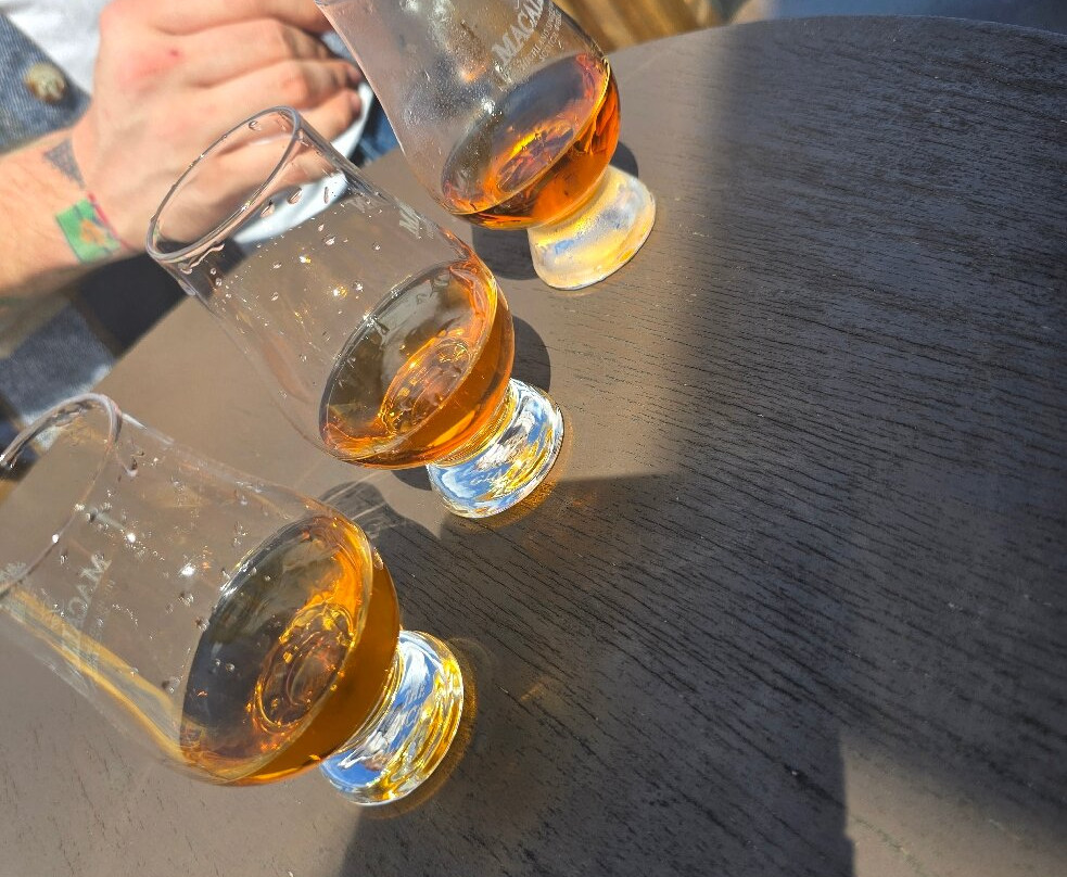 Aromas Cigar & Martini Bar-Road Town必去景点