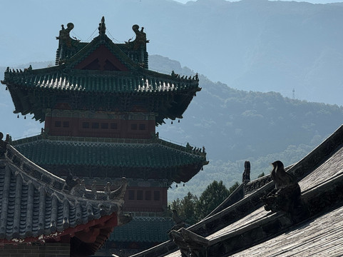 CK Martial Hearts (Shaolin Temple)-登封市必去景点