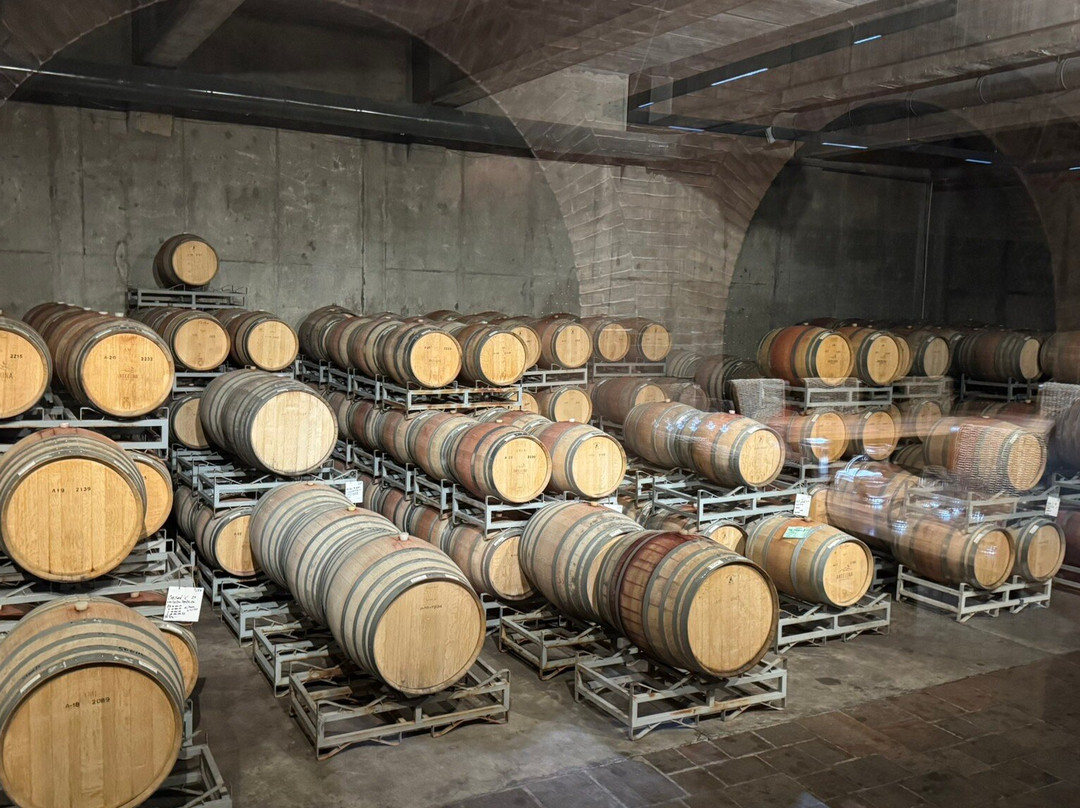 Bodega Andeluna-Tupungato必去景点