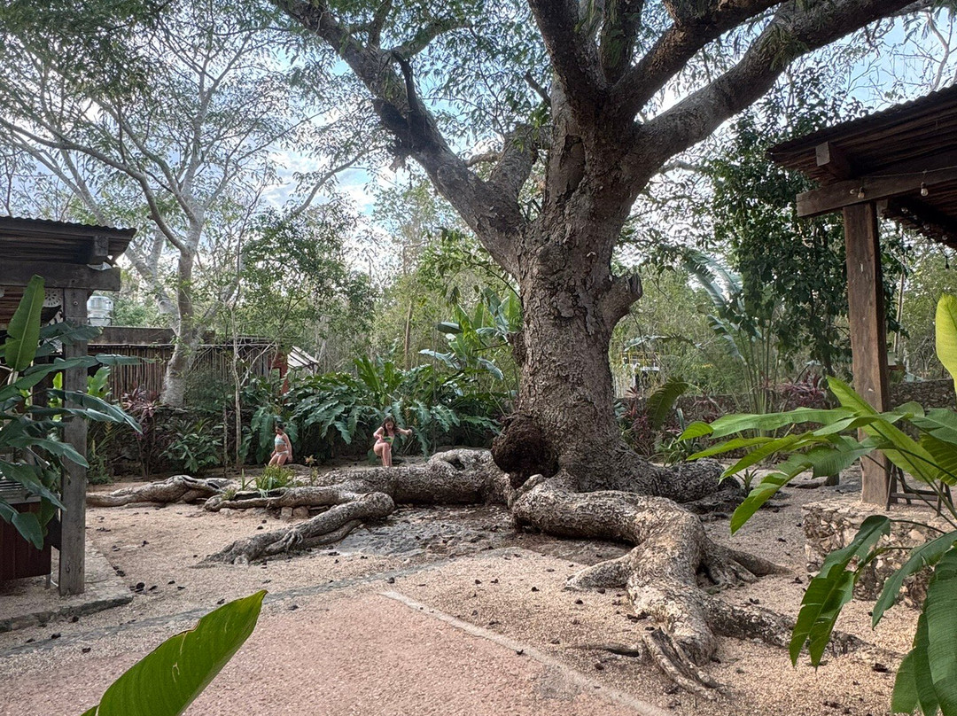 Tsukán Santuario de Vida-Piste必去景点