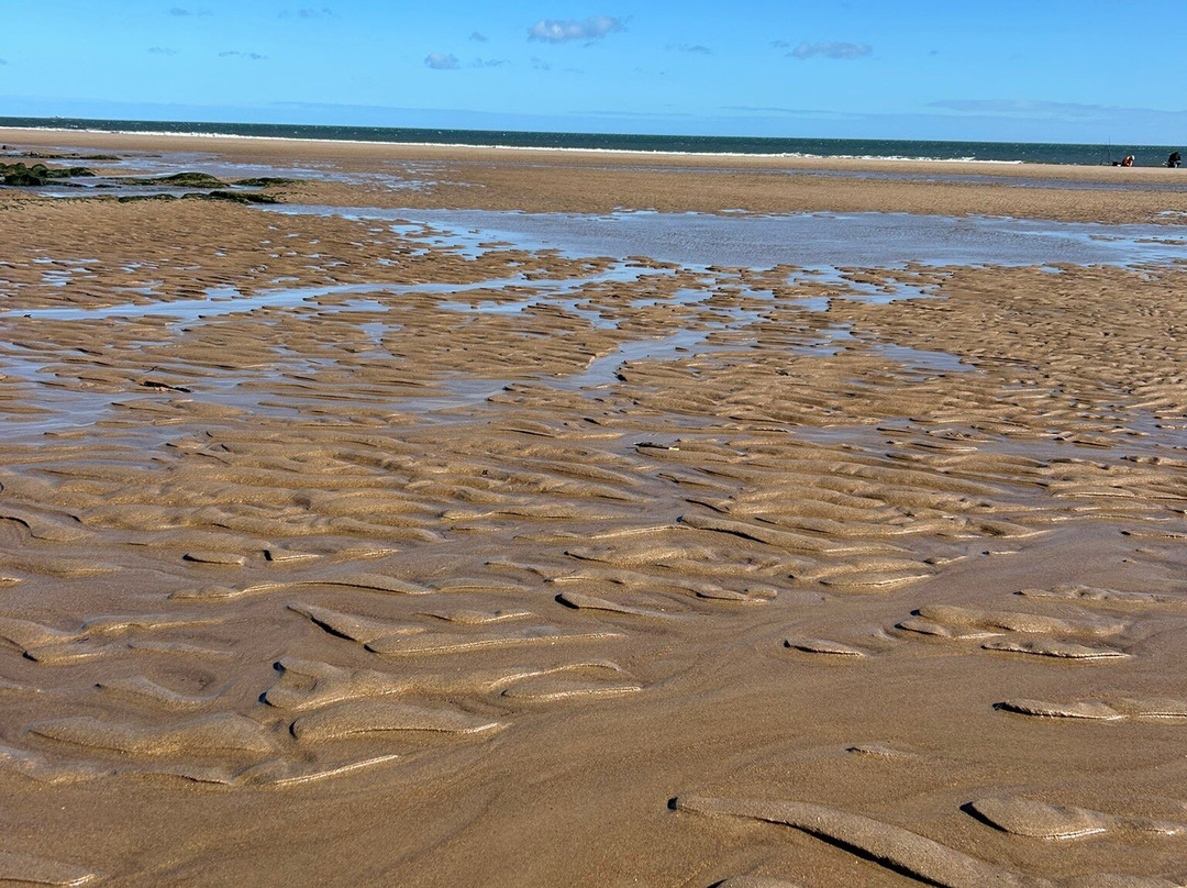 Cresswell Beach景点图片
