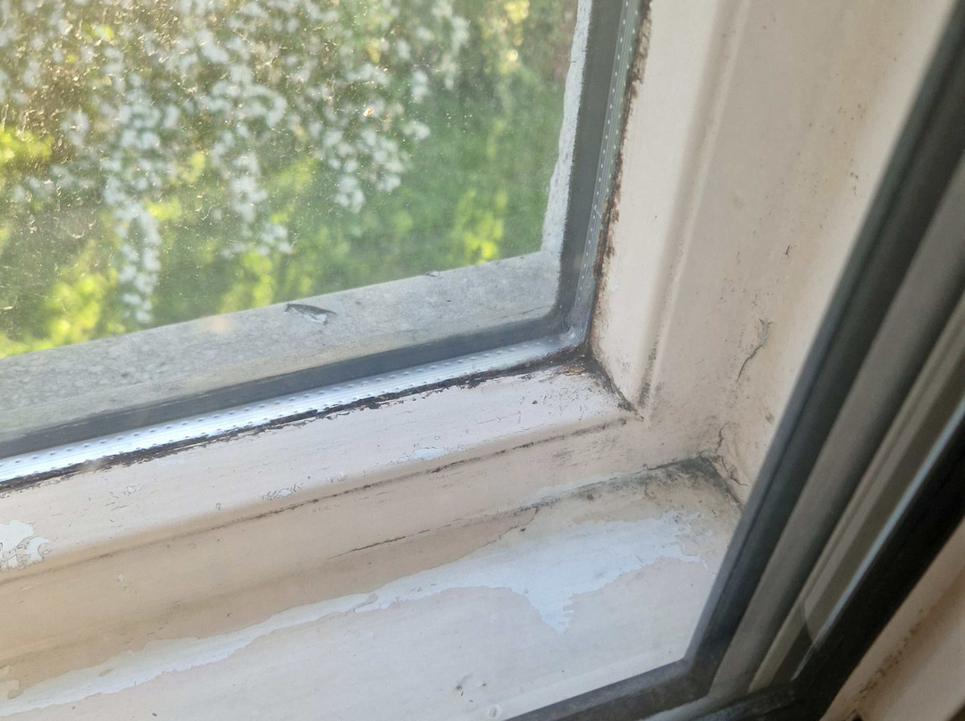 Premier Inn Bristol East (Emersons Green) hotel主图