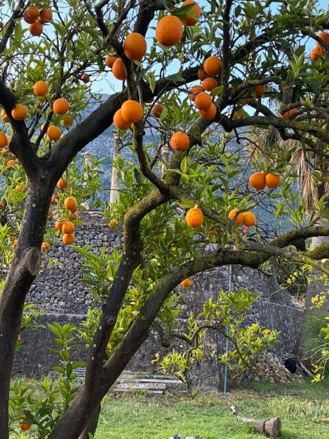 Finca Ca's Sant-浴室