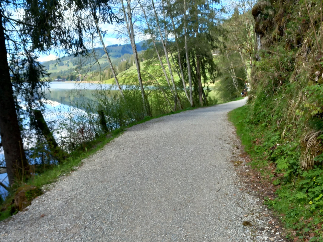 Schwarzsee Lac Noir-施瓦茨塞湖必去景点