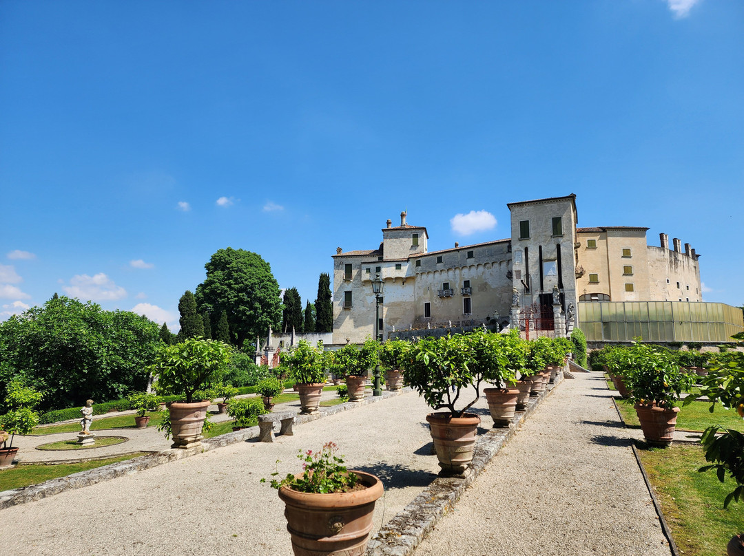 Castello Grimani Sorlini景点图片
