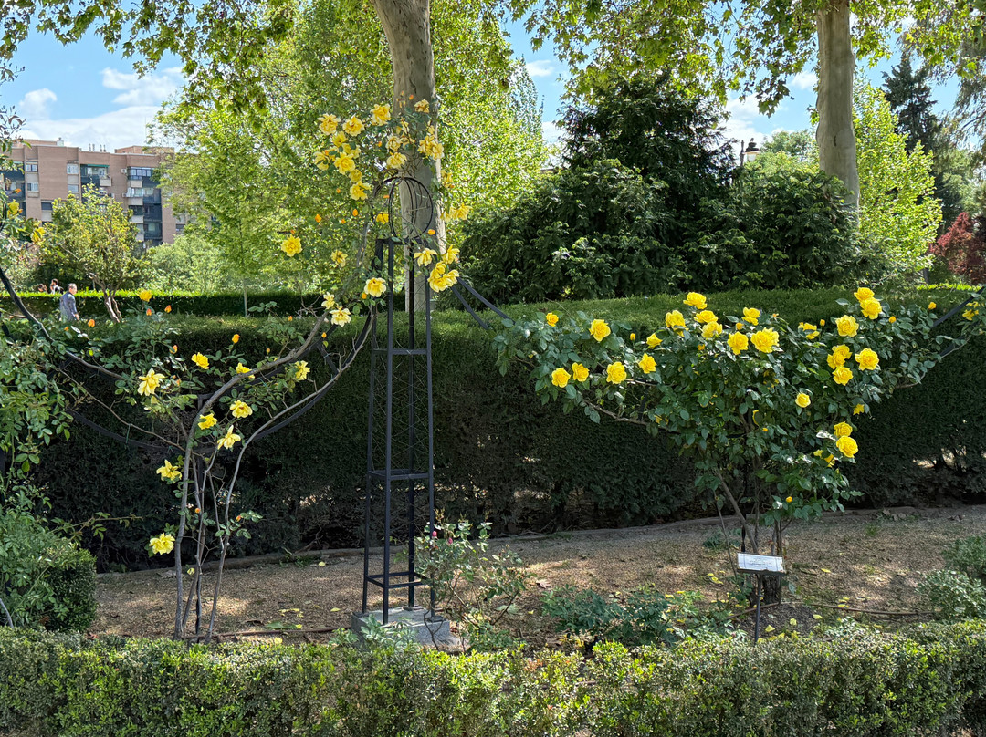 Madrid Segway-马德里必去景点