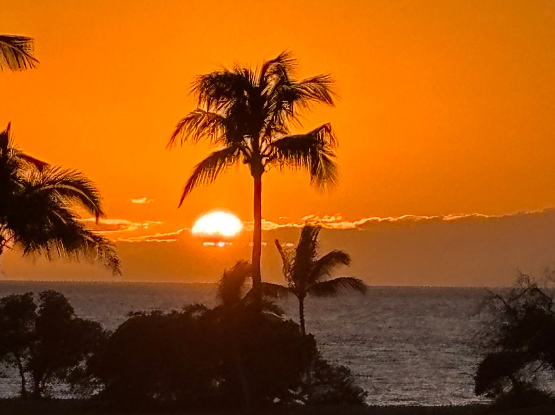 Hawaiiloa Luau-卡慕也拉必去景点