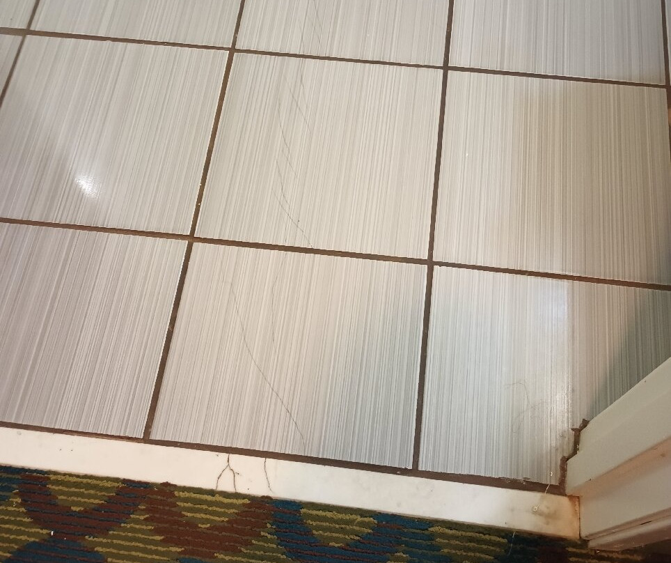 Best Western Troy Hotel主图