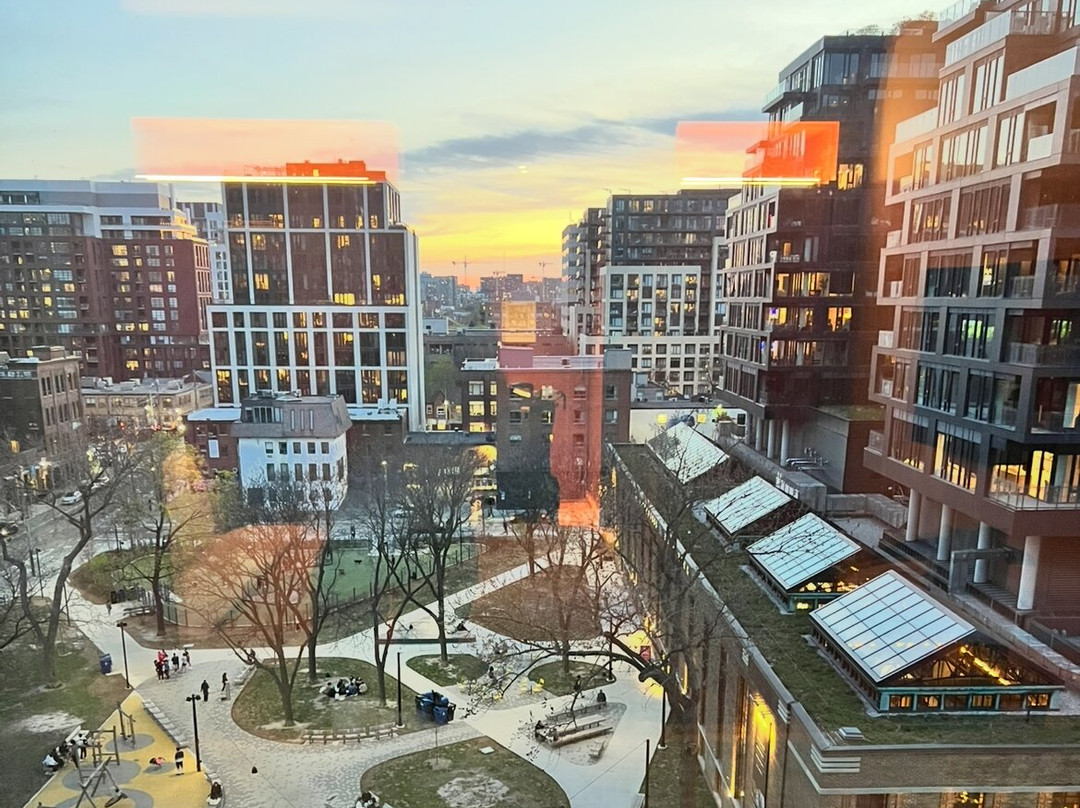 Ace Hotel Toronto主图