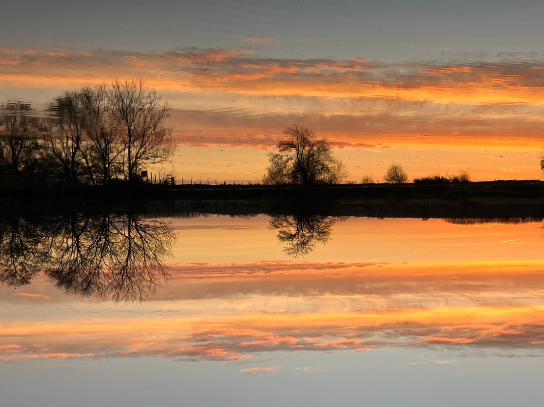 Maison d'Alienor主图