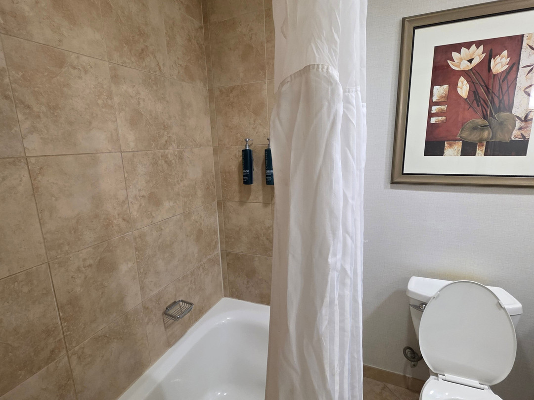 Hilton Phoenix Chandler主图